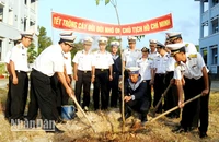 Cán bộ, chiến sĩ Trung đoàn 551, Vùng 5 Hải quân hưởng ứng “Tết trồng cây đời đời nhớ ơn Bác Hồ”.