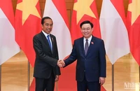 Chủ tịch Quốc hội Vương Đình Huệ và Tổng thống Indonesia Joko Widodo. (Ảnh: DUY LINH)