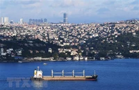 Tàu chở ngũ cốc di chuyển dọc Eo biển Bosphorus ở Istanbul, Thổ Nhĩ Kỳ, ngày 7/8/2022. (Ảnh: THX/TTXVN)