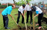 Các đại biểu tham gia trồng cây trong khuôn viên nhà rông làng Kép 1.