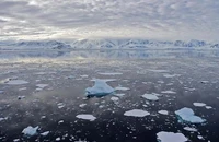 Băng trôi tại Vịnh Chiriguano, quần đảo Nam Shetland, Nam Cực, ngày 7/11/2019. (Ảnh: AFP/TTXVN)