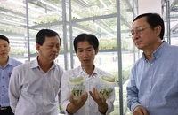 Lãnh đạo Bộ Khoa học và Công nghệ kiểm tra quy trình nhân giống sâm Ngọc Linh tại Trung tâm Ươm tạo và Hỗ trợ doanh nghiệp khoa học công nghệ (huyện Ðăk Tô, tỉnh Kon Tum). 