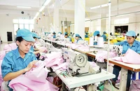 Công nhân nữ làm việc tại Công ty TNHH một thành viên 76, huyện Gia Lâm, Hà Nội. (Ảnh Nguyễn Đăng) 