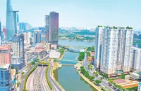 Một số dự án nhà ở tại trung tâm Thành phố Hồ Chí Minh. (ảnh CT) 