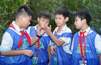 Các em nhỏ háo hức khám phá khi tham gia "Hành trình cùng Mizu bảo vệ môi trường" tại Vườn quốc gia Cát Tiên.
