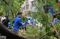 Đoàn viên, thanh niên quận Hoàn Kiếm tình nguyện hỗ trợ lực lượng chức năng khắc phục hậu quả của cơn bão số 3 (bão Yagi).