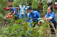 Đoàn viên, thanh niên thành phố Hà Nội tình nguyện hỗ trợ lực lượng chức năng khắc phục hậu quả của cơn bão số 3.