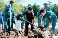 Các huyện chuẩn bị nhân lực, vật tư, phương tiện bảo vệ đê điều. 