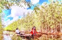 Tiềm năng to lớn về rừng tràm giúp U Minh phát triển mạnh về du lịch sinh thái, du lịch trải nghiệm, du lịch cộng đồng. (Ảnh Huỳnh Lâm)