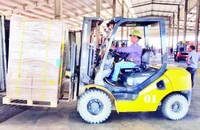 Bốc xếp hàng hóa nhập khẩu tại bãi kiểm hóa cầu Bắc Luân II.