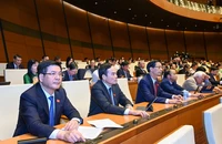 Quốc hội biểu quyết thông qua Nghị quyết về thí điểm đấu giá biển số xe ô-tô trong phiên họp chiều 15/11. (Ảnh: DUY LINH)