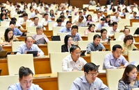 Các đại biểu Quốc hội dự phiên họp sáng 24/5. (Ảnh: THỦY NGUYÊN)