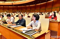 Các đại biểu Quốc hội dự phiên họp sáng 29/5. (Ảnh: ĐĂNG KHOA)