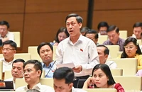 Đại biểu Mai Văn Hải góp ý kiến về tháo gỡ vướng mắc trong quy định phòng cháy, chữa cháy tại phiên thảo luận chiều 31/5. (Ảnh: DUY LINH)