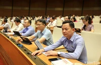 Các đại biểu Quốc hội biểu quyết thông qua Luật Đấu thầu (sửa đổi). (Ảnh: DUY LINH)