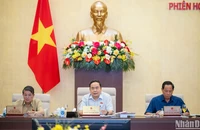 Chủ tịch Quốc hội Trần Thanh Mẫn phát biểu ý kiến tại phiên họp. (Ảnh: DUY LINH)