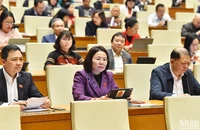 Các đại biểu Quốc hội dự phiên họp chiều 12/2. (Ảnh: THỦY NGUYÊN)