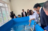 Lồng lưới thực hành nuôi trồng thủy sản được bàn giao cho Trường cao đẳng Thủy sản và Công nghệ thực phẩm Hải Phòng. (Ảnh: ĐSQ Nhật Bản)