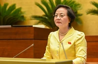 Trình Quốc hội sửa luật để thực hiện mô hình chính quyền địa phương 2 cấp