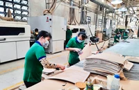 Sản xuất tại Công ty Ván ép cơ khí xây dựng Nhật Nam, thị xã Bến Cát, tỉnh Bình Dương. (Ảnh TIỂU MY)
