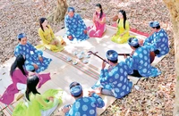 Biểu diễn đờn ca tài tử tại vườn nhãn cổ ở thành phố Bạc Liêu. (Ảnh Phan Thanh Cường).