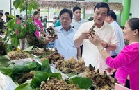 Lễ hội Sâm Ngọc Linh (Quảng Nam) được tổ chức nhằm giới thiệu, quảng bá về cây sâm Ngọc Linh.