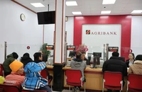 Khách hàng làm thủ tục vay vốn tại Agribank.
