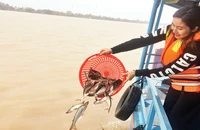 An Giang duy trì thả cá tái tạo nguồn thủy sản.