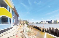 Bờ sông Bạc Liêu-Cà Mau khu vực Trường mầm non Sơn Ca 2 ở Phường 1, thị xã Giá Rai (Bạc Liêu), bị sạt lở nghiêm trọng.