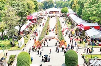 Toàn cảnh Lễ hội bánh mì Việt Nam năm 2025 vừa diễn ra tại thành phố. (Ảnh CTV)
