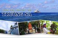 Trong mầu xanh bất tận Trường Sa