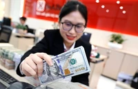 UOB dự báo tỷ giá biến động khoảng 2%-3% trong năm 2025.