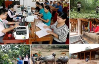 Nguồn vốn chính sách giúp người dân Nghệ An phát triển kinh tế.