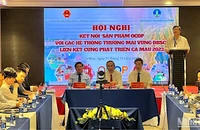 Hội nghị Kết nối sản phẩm OCOP với các hệ thống thương mại vùng đồng bằng sông Cửu Long vào sáng 11/12.