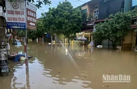 Một tuyến phố của thành phố Yên Bái bị ngập sâu trong nước.