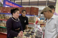Nhiều nông sản, đặc sản vùng miền góp mặt tại phiên chợ nông sản ngày 21/6. (Ảnh: THANH TRÀ)