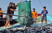 Từ ngày 10-18/10/2023, Đoàn thanh tra EC lần 4 sẽ sang Việt Nam kiểm tra kết quả triển khai các khuyến nghị của Ủy ban châu Âu (EC) về chống khai thác IUU.