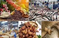 Những tín hiệu tích cực từ xuất khẩu nông, lâm, thủy sản 5 tháng đầu năm