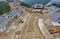 Những vùng đất tái sinh sau bão Yagi