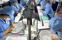 Hơn 4 tấn tổ yến tinh chế cùng hàng triệu sản phẩm tổ yến đã được xuất khẩu chính ngạch vào Trung Quốc, đạt giá trị hơn 4 triệu USD.