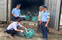 Lực lượng chức năng tỉnh Lạng Sơn kiểm tra hàng hóa vi phạm.