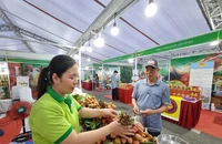 Người tiêu dùng tìm mua các loại trái cây đặc sản của các tỉnh, thành phố.