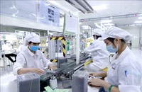 Sản xuất linh kiện điện tử tại Công ty Youngbag ViiNa khu Công nghiệp Bình Xuyên, Vĩnh Phúc. Ảnh minh họa: TTXVN