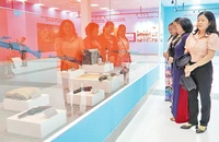 Các đại biểu tham quan Nhà trưng bày Xứ ủy Nam Bộ và Văn hóa Óc Eo tại Khu di tích quốc gia đặc biệt Gò Tháp.