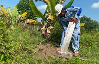 Cắm mốc, giao ranh phục vụ công tác bồi thường, hỗ trợ, tái định cư dự án đường bộ cao tốc Thành phố Hồ Chí Minh-Mộc Bài.