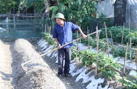 Gia đình ông Bùi Đức Lý (huyện Thạch Hà, Hà Tĩnh) vay vốn ưu đãi của Ngân hàng Chính sách xã hội để phát triển kinh tế theo mô hình VAC, đã thoát nghèo vươn lên thành hộ khá trên địa bàn.