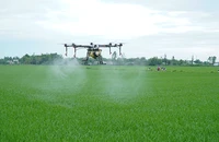Công ty cổ phần Tập đoàn Lộc Trời cung cấp dịch vụ máy bay không người lái (drone) giúp giảm chi phí và tăng hiệu quả sử dụng thuốc bảo vệ thực vật. (Ảnh: MINH ANH)