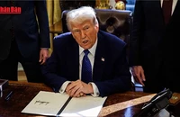 [Video] Tòa án Mỹ cho phép chính quyền Tổng thống Donald Trump giải thể USAID