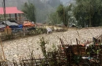 Khoảng 17 giờ ngày 25/3, mưa đá xảy ra tại bản Nà Lầu, xã Mường É, huyện Thuận Châu, Sơn La. (Ảnh: TÙNG LÂM)