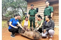 Trao sinh kế giúp phụ nữ miền núi vươn lên thoát nghèo bền vững.
